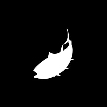 Flat Style Silhouette of the Tuna Fish, can use for Logo Type, Art Illustration, Pictogram, Website or Graphic Design Element. Vector Illustration