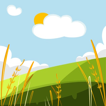 Wheat field sky with clouds. Countryside summer background gold color grain nature. Vector illustration of barley in cartoon style. Grains of wheat. Summer landscape with a field of ripe wheat