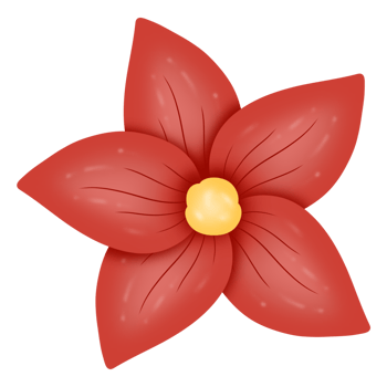 Poinsettia Christmas Star png