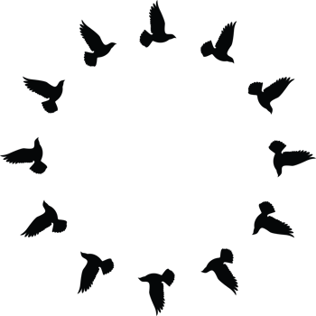 Flying birds silhouettes pattern wallpaper. PNG transparent. isolated bird flying. tattoo design. template for card, package, and wallpaper.