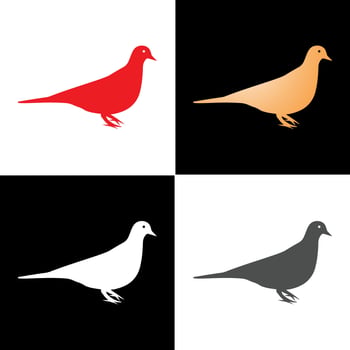 vector illustration of a pigeon icon