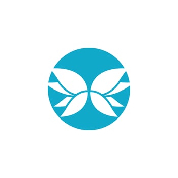Beauty Butterfly icon design vector