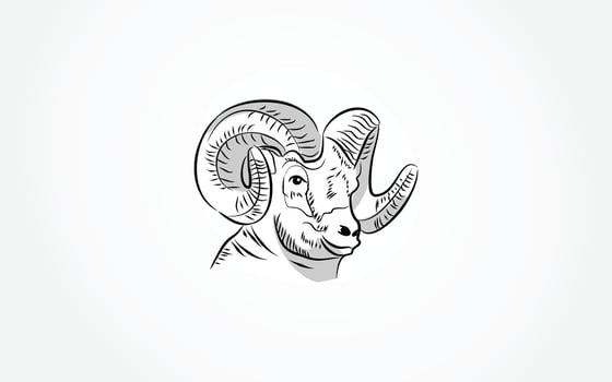 a ram head is drawn in black and white on a white background vector