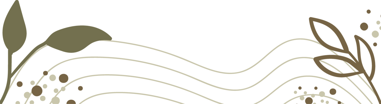 floral and line decoration png