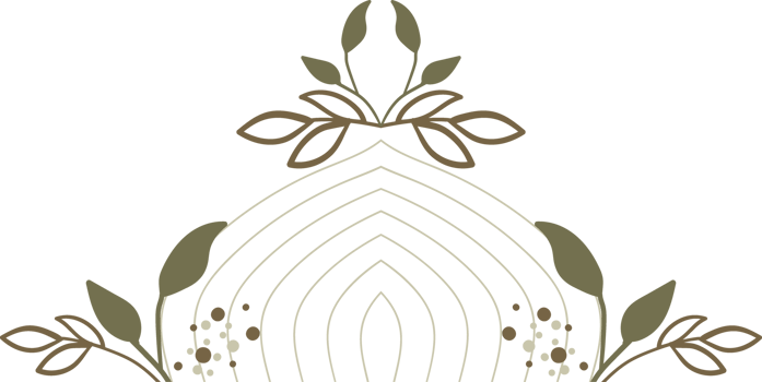 floral and line decoration png
