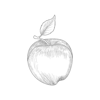 Apple line art Fruits Coloring Page For Kids vector