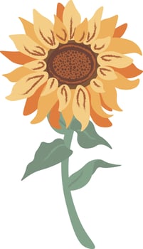 Vector floral composition with sunflower