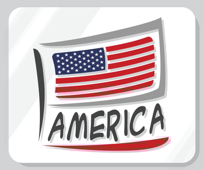 America Graphic Pride Flag Icon vector