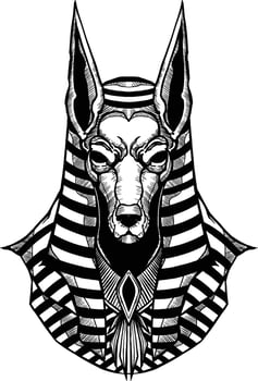 Anubis is the god of Egypt. Hand drawing  black  white background vector