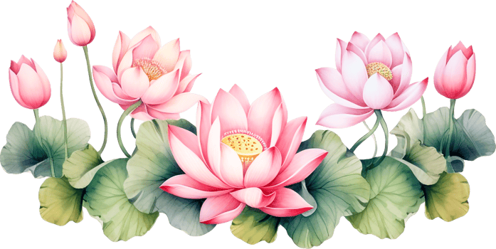 Watercolor lotus clipart for graphic resources. Water lily composition png