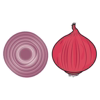 Onion. Whole onion and cut onion. Flat simple design. Red onion illustration set vector