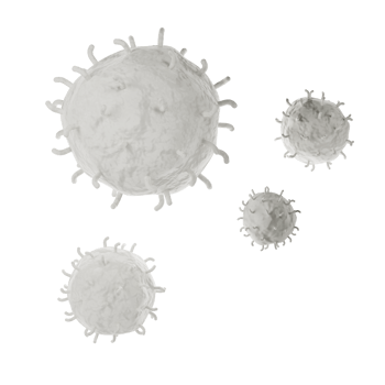 White blood cell 3d realistic icon analysis. Leukocytes medical illustration transparent png