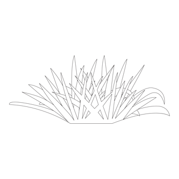 Grass Nature 2D Outline Illustrations png