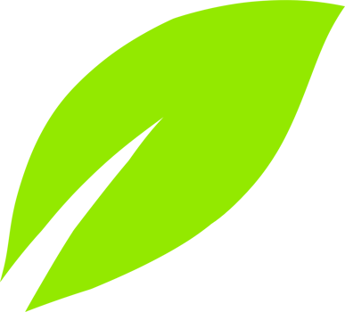 Organic fresh leaves png