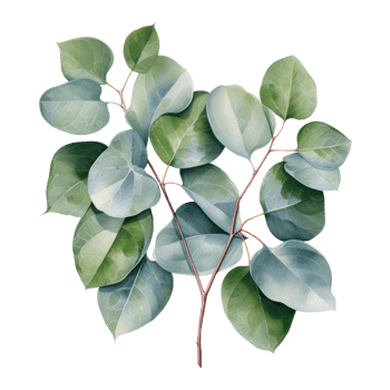 Watercolor eucalyptus branch. Floristic design elements. AI Generative Pro PNG