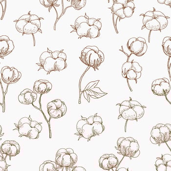 Hand Drawn Cotton Flower Seamless Pattern vector