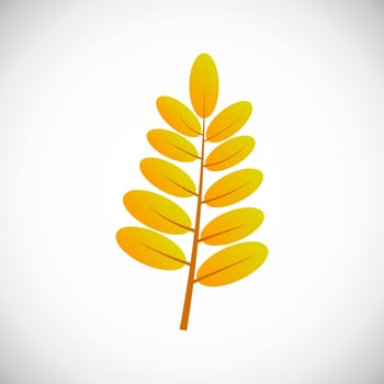 Yellow leaf. Autumn leaf of a tree on a white background. Vector illustration