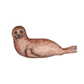 Watercolor illustration with seal. Perfect for wallpaper, print, baby textile, nursery, scrapbooking, banner design, postcards, clothing. Cartoon style. png