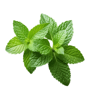 Fresh Mint leaf, Mint leaves isolated created with Generative AI png