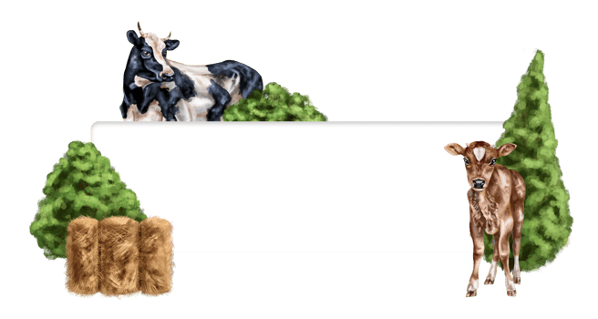 The frame of a farm composition of a cow, bull and calf among haystacks and greenery. For postcards, textiles, booklets, banners, stickers. Digital illustration png