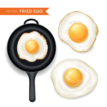 Fried Eggs Set vector