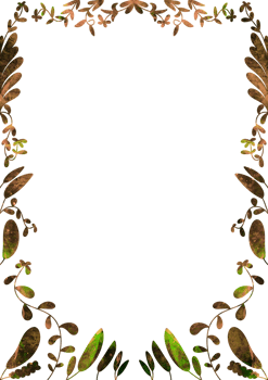 Leaf Frame Aesthetic png