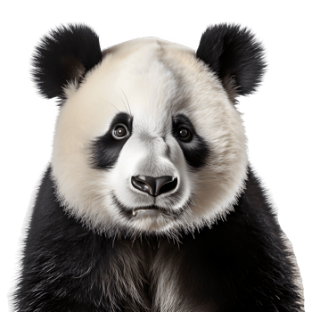cute panda isolated on transparent background ,big panda standing isolated ,generative ai png