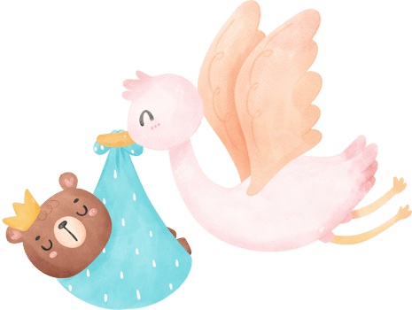Cute baby shower bear watercolor, stork bird with baby png