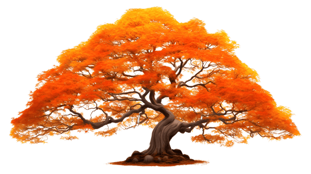 a golden maple tree png