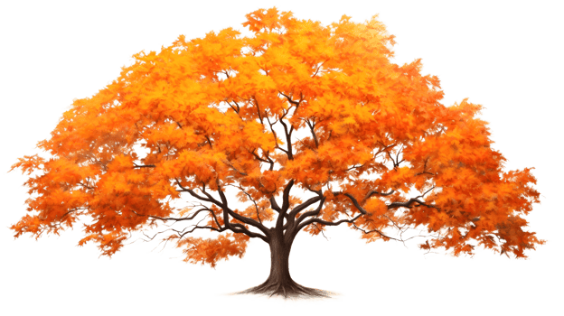 a golden maple tree png