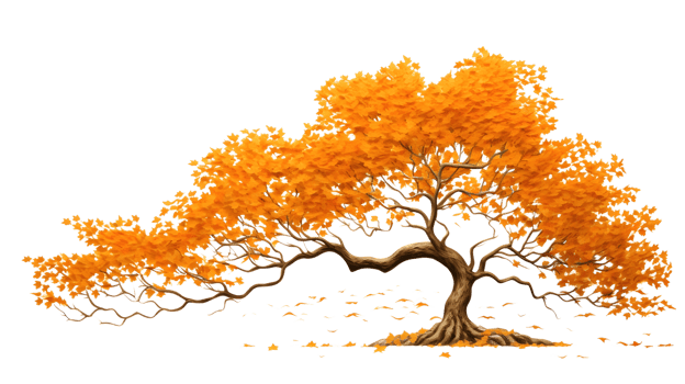a golden maple tree png