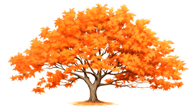 a golden maple tree png