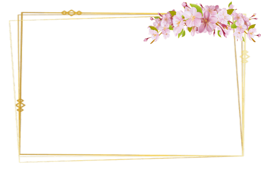 Rose and gold frame border PNG images