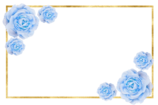 Rose and gold frame border PNG images