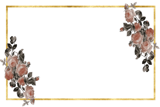 Rose and gold frame border PNG images