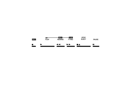Silhouette of the Tape Deck Buttons, Records, Play, Fast, Forward, Rewind, Stop, Eject, and Pause. Vector Illustration