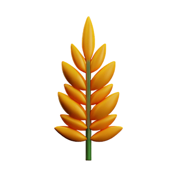 wheat 3d rendering icon illustration png