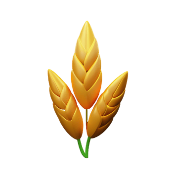 wheat 3d rendering icon illustration png