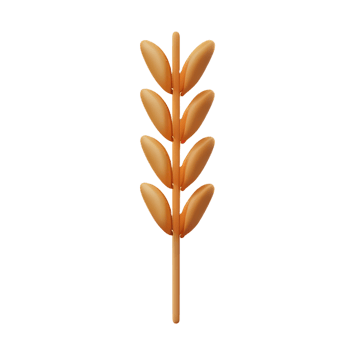 wheat 3d rendering icon illustration png