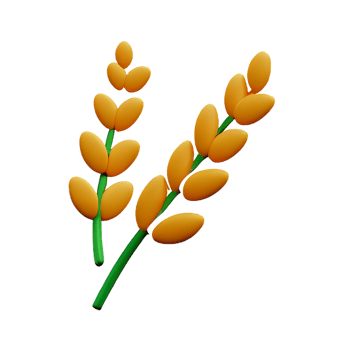 wheat 3d rendering icon illustration png