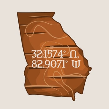 vector of georgia wood texture perfect for print, t-shirt design, etc