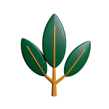 tropical leaves 3d rendering icon illustration png
