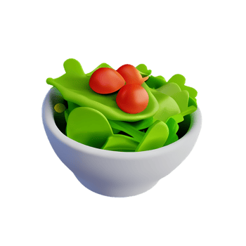 salad 3d rendering icon illustration png