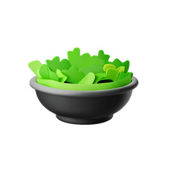 salad 3d rendering icon illustration png