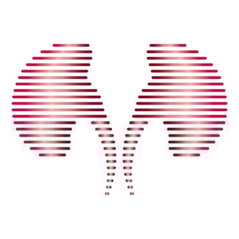 Line shape kidney logo vector