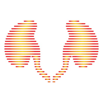 Line shape kidney logo vector