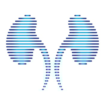 Line shape kidney logo vector