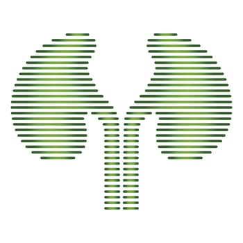 Line shape kidney logo vector
