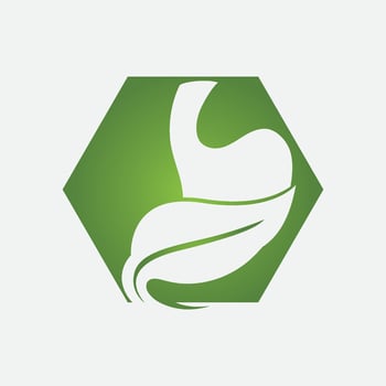 Stomach care and health logo vector