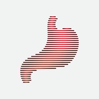 Stomach care and health logo vector